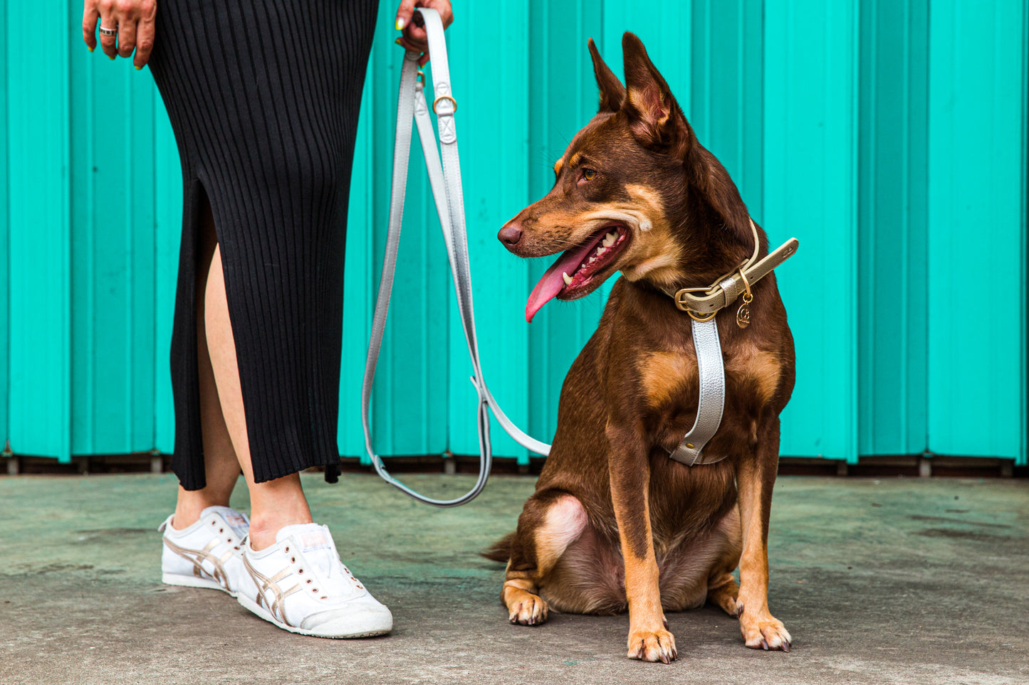 Zaara Collection - Multiway Handsfree Leash in Shimmering Silver