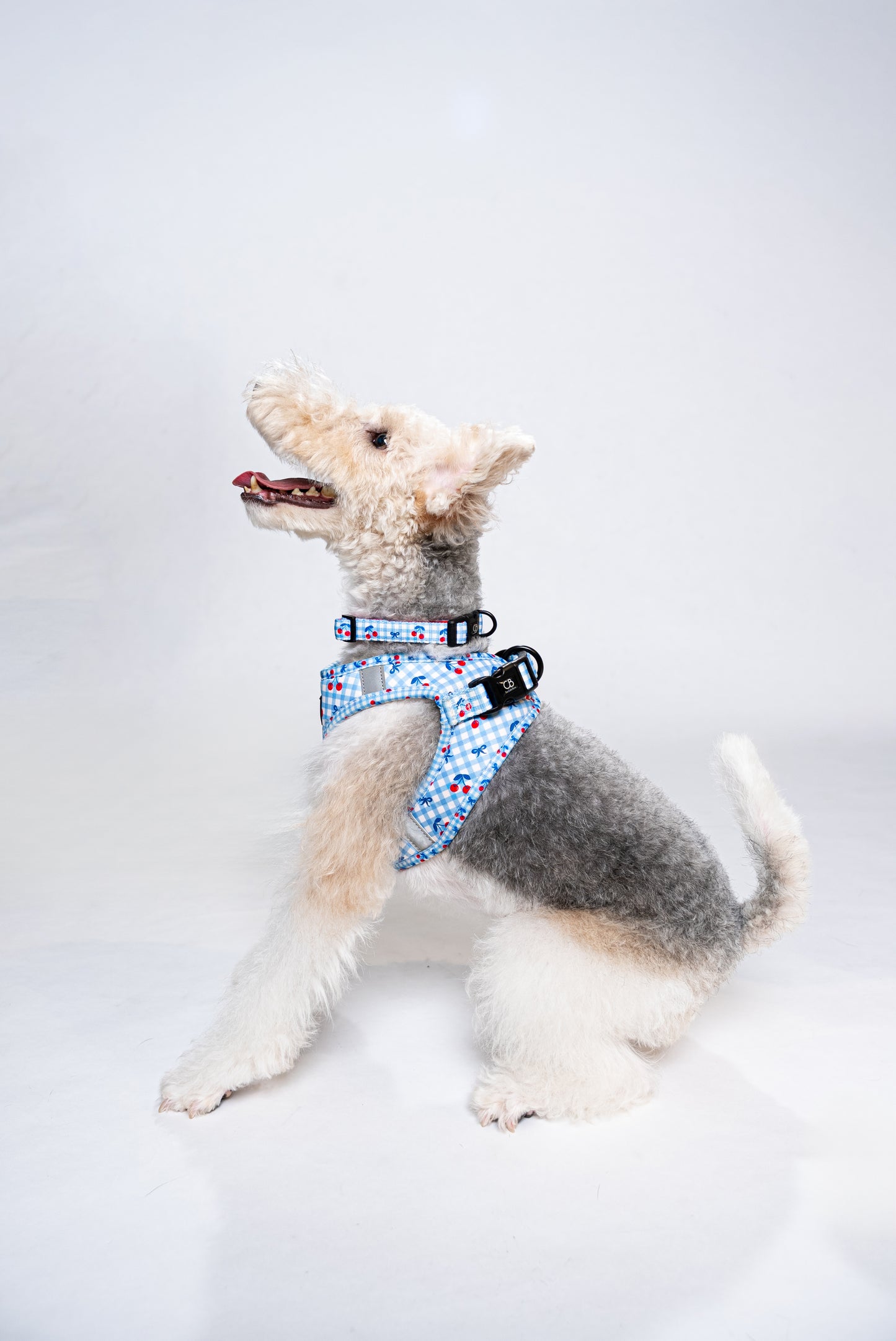 Teeny Step-In Vest/Harness in Cherry Checks