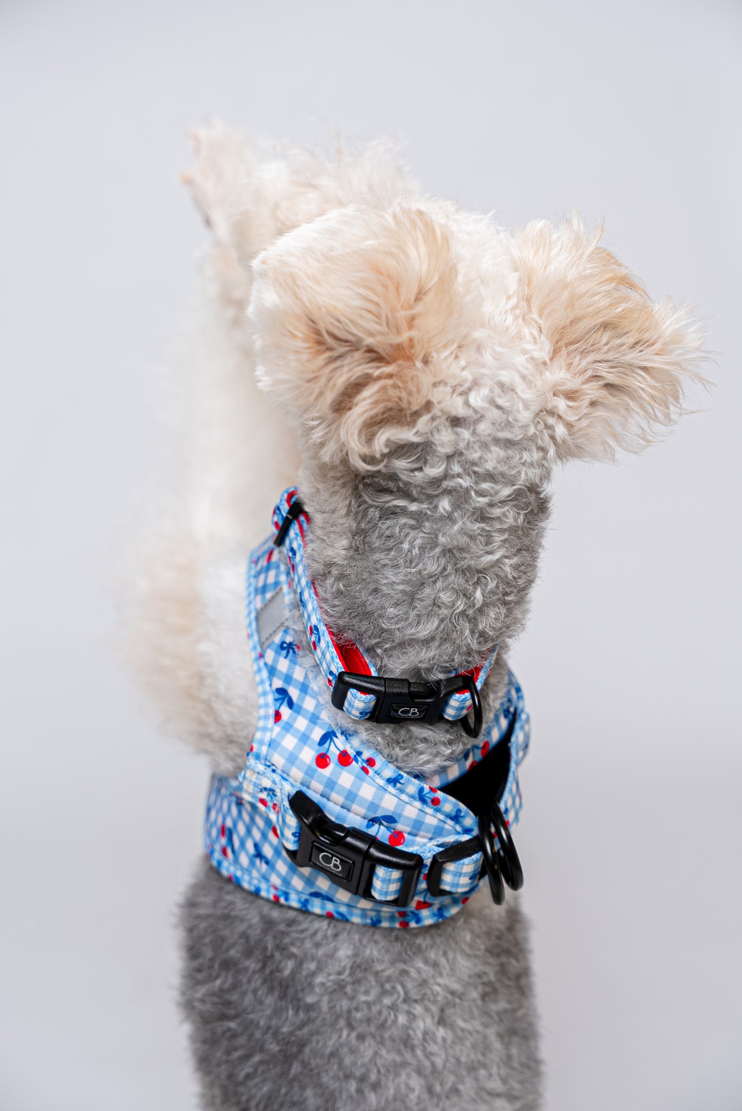 Teeny Step-In Vest/Harness in Cherry Checks