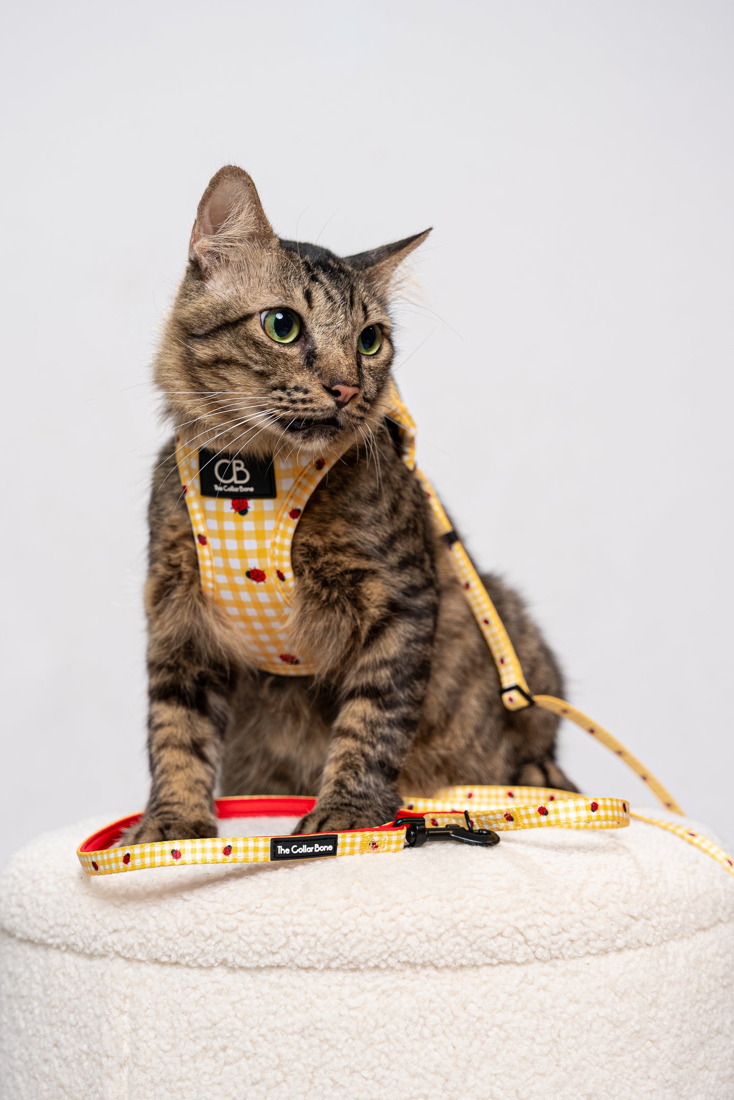 Teeny back-to-basic Leash in Ladybug Lemon