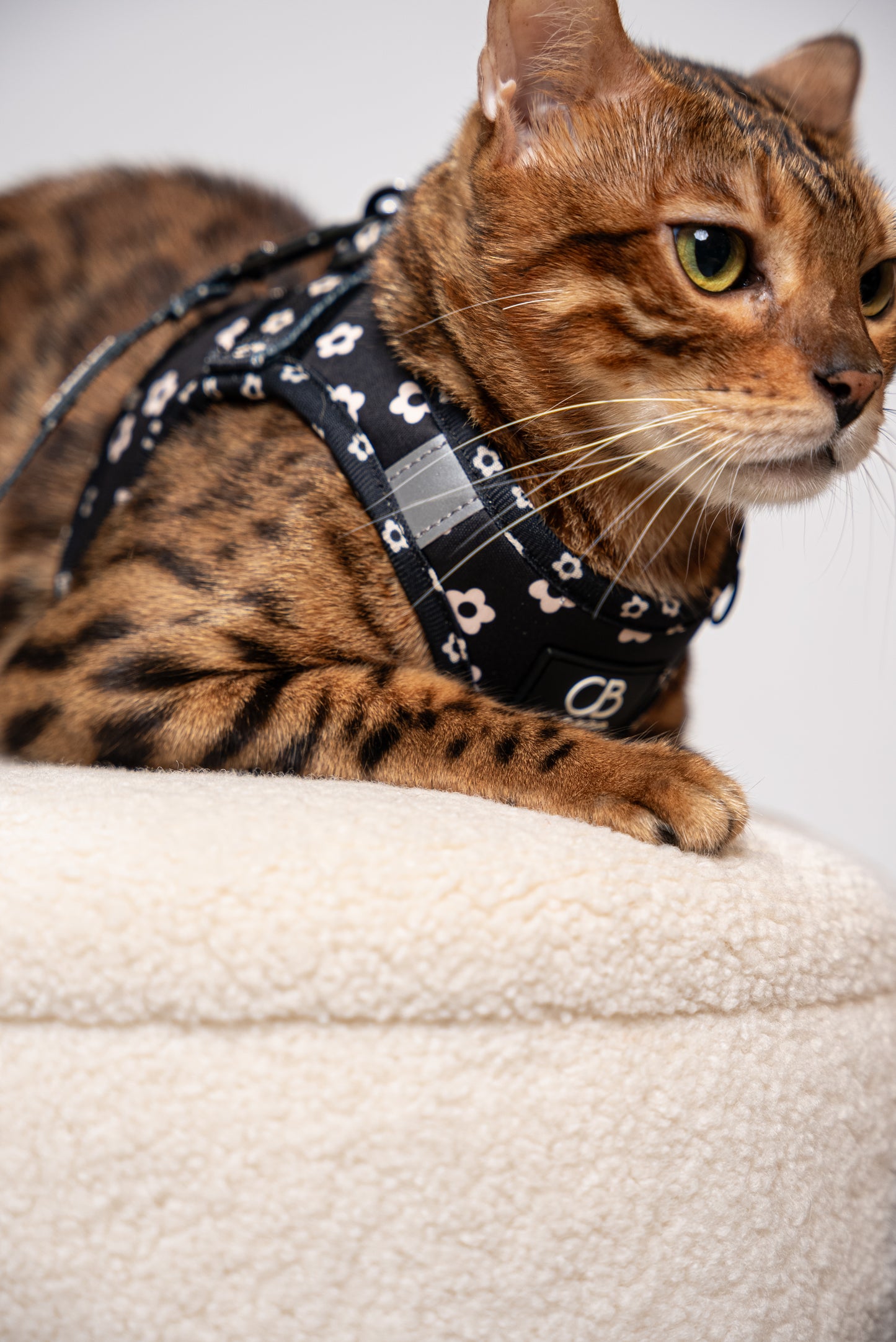 Teeny Step-In Vest/Harness in Black Bloom