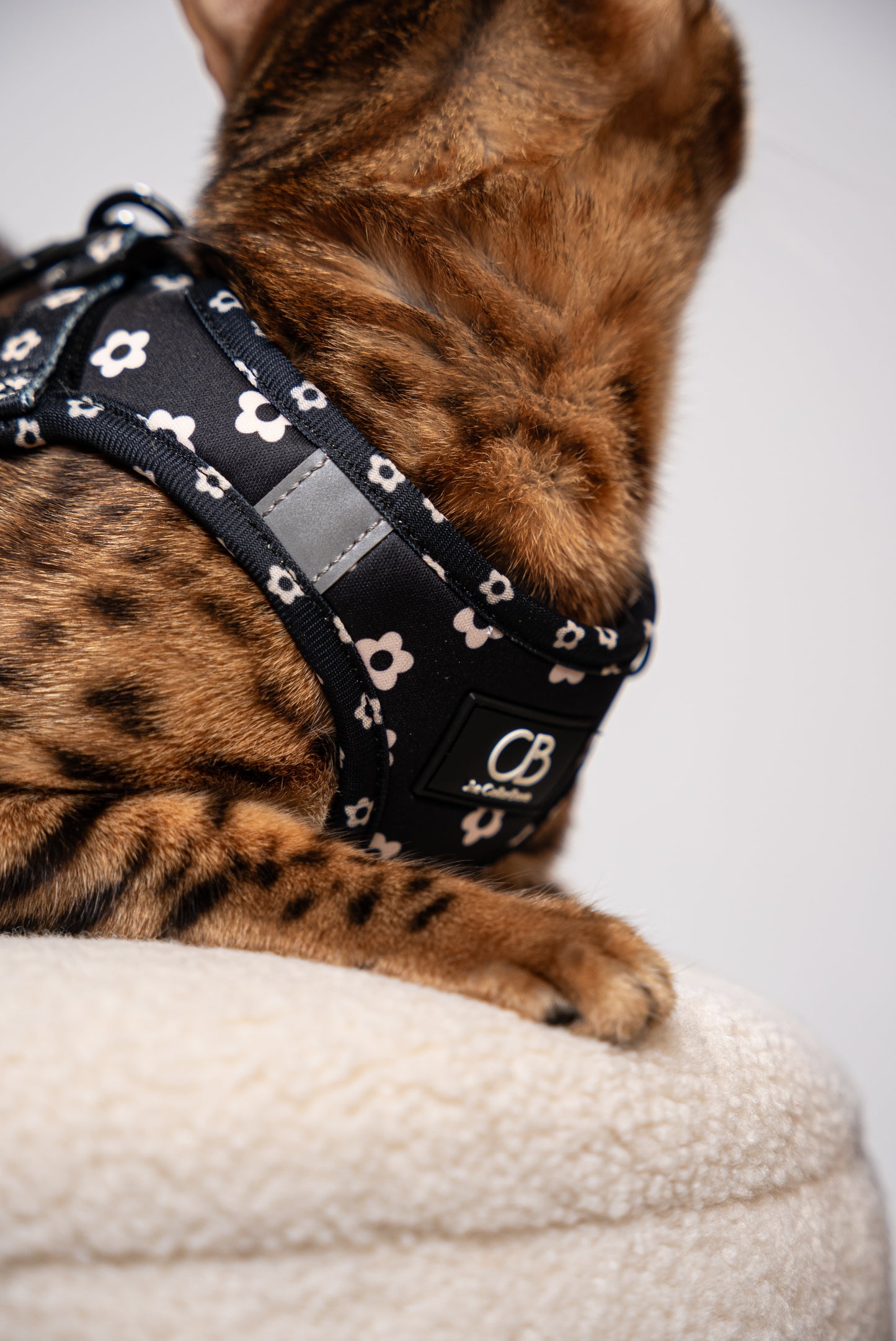 Teeny Step-In Vest/Harness in Black Bloom