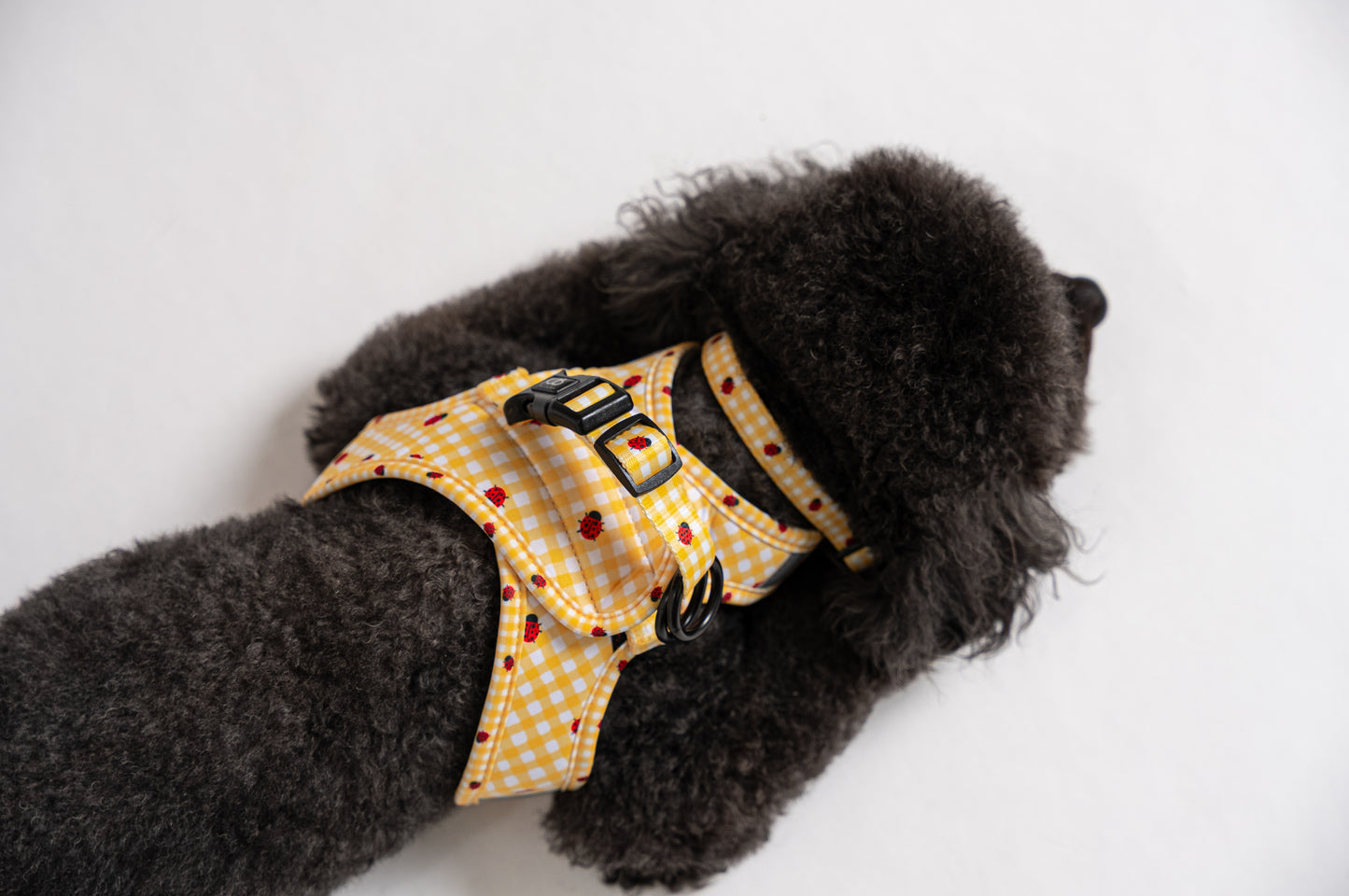 Teeny Step-In Vest/Harness in LadyBug Lemon