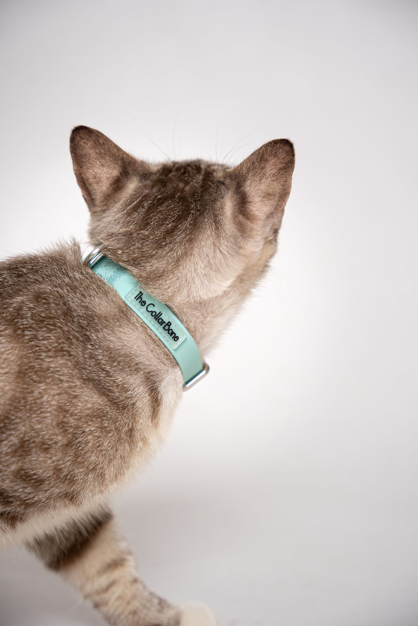 Oceane 2.0 Waterproof XS Collar in Tiffany's Afterglow (Glow-in-the-Dark Blue) - suitable for cats and small dogs