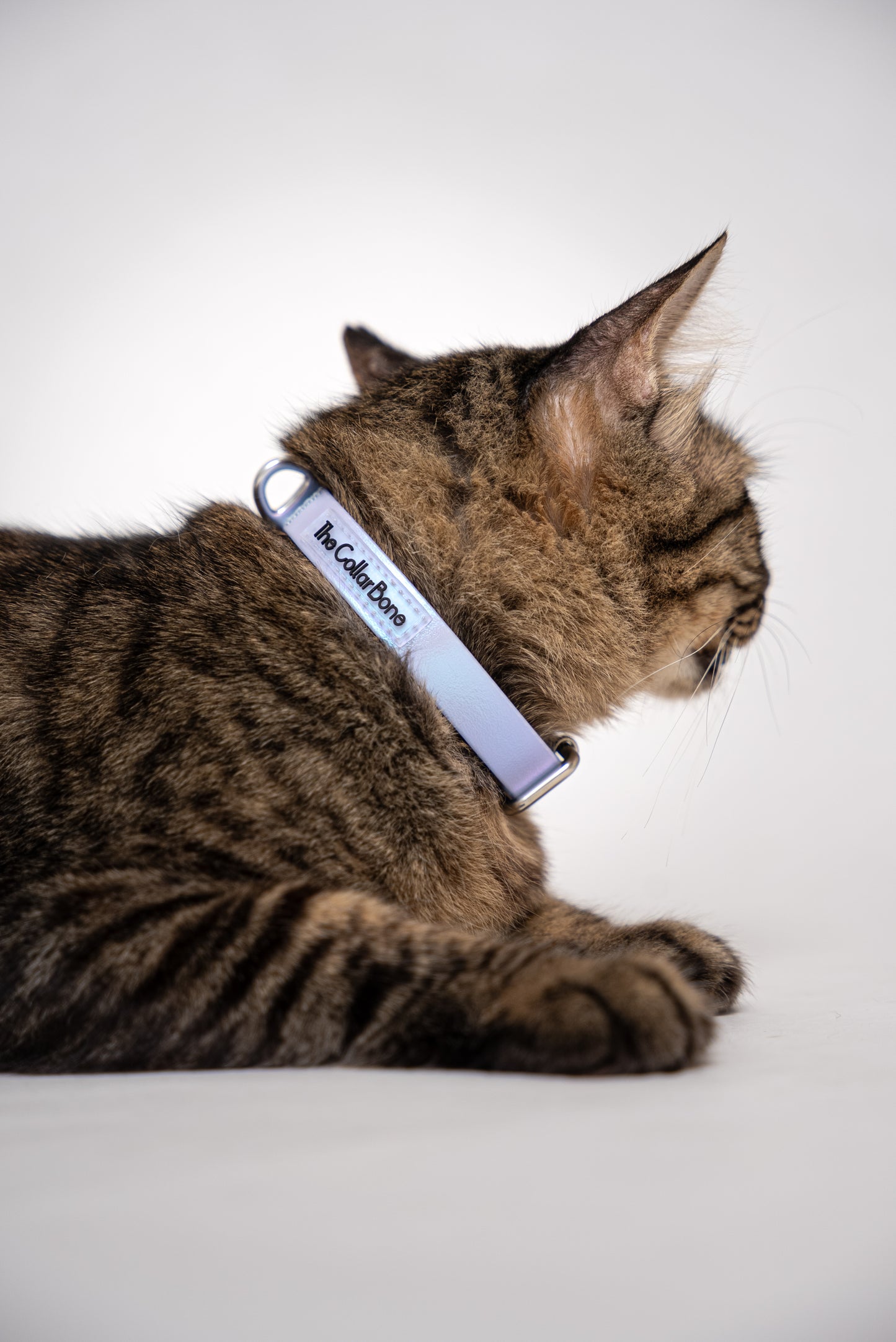 Oceane 2.0 Waterproof XS Collar in Iridescent Tide (Purple) - suitable for cats and small dogs