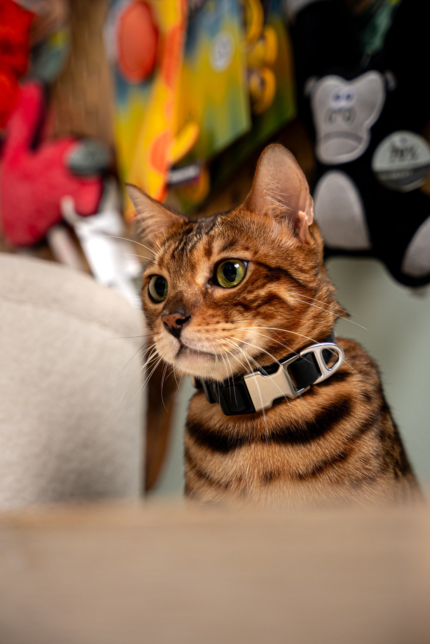 Oceane 2.0 Waterproof XS Collar in Obsidian Black - suitable for cats and small dogs