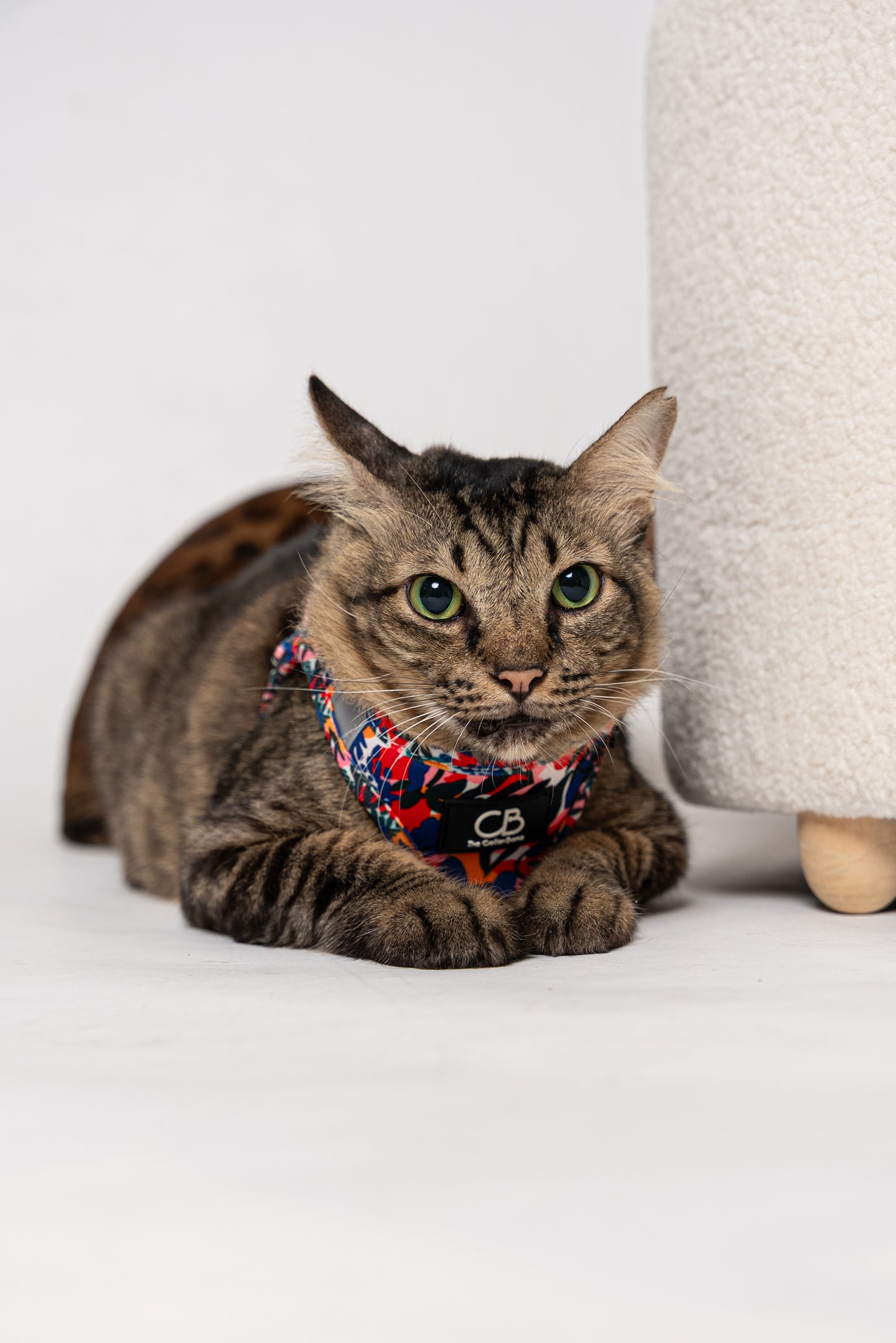 Teeny Step-In Vest/Harness in Mirage