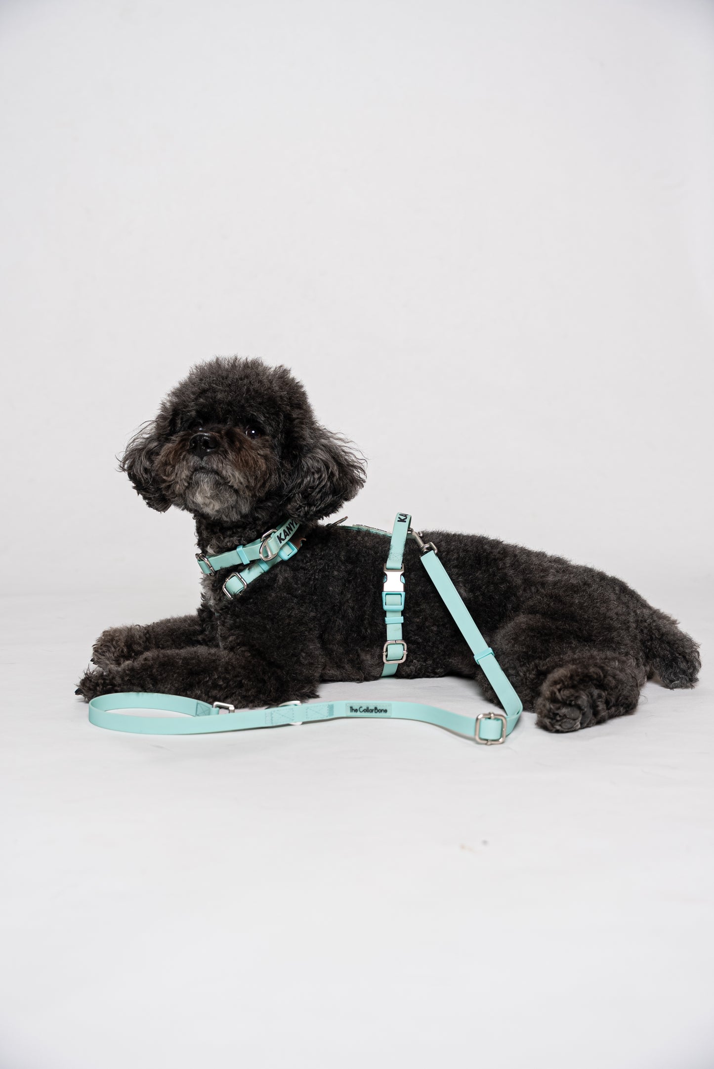Oceane 2.0 Waterproof Y-Harness in Tiffany's Afterglow (Glow-in-the-Dark Blue)