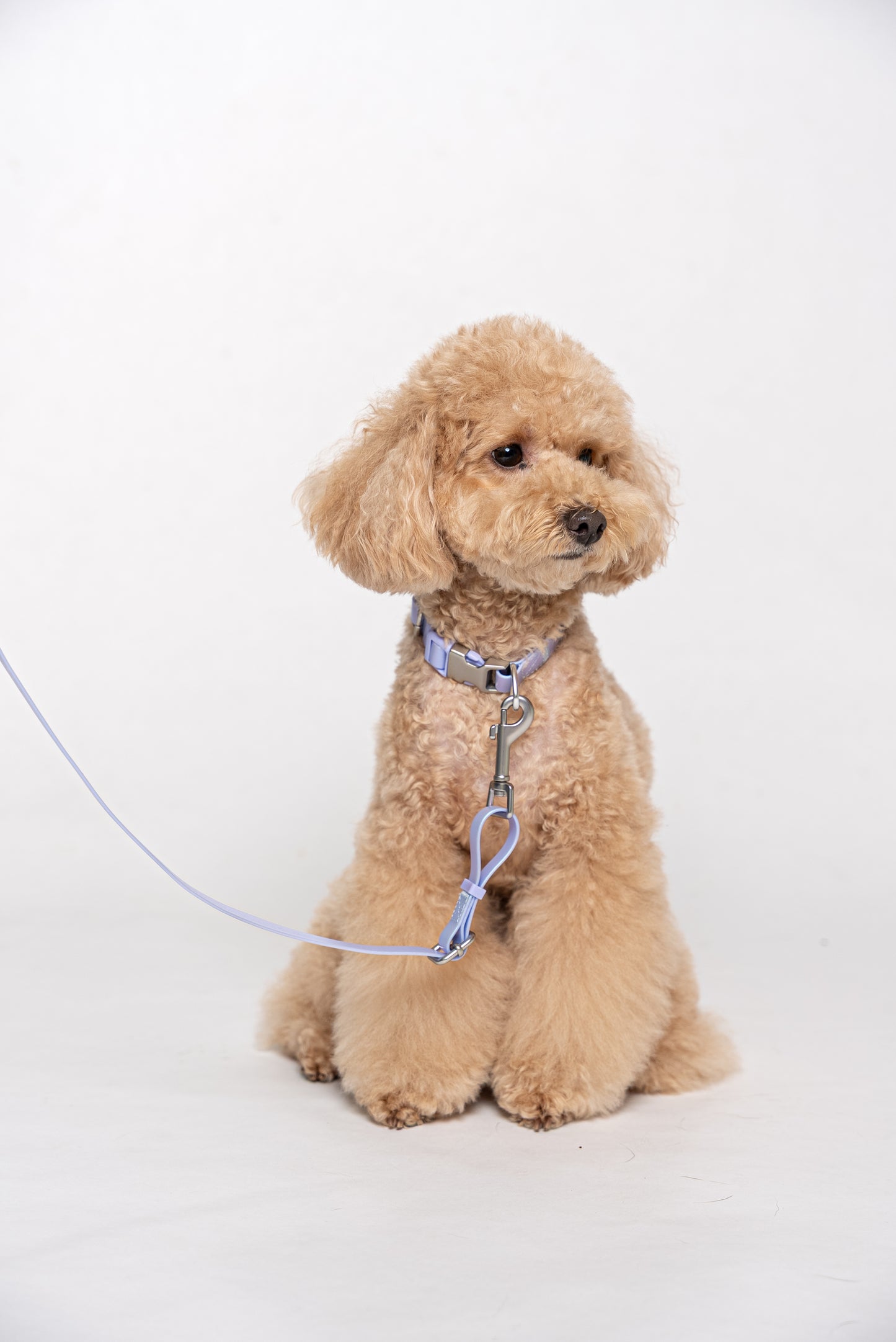 Oceane 2.0 Waterproof XS Collar in Iridescent Tide (Purple) - suitable for cats and small dogs
