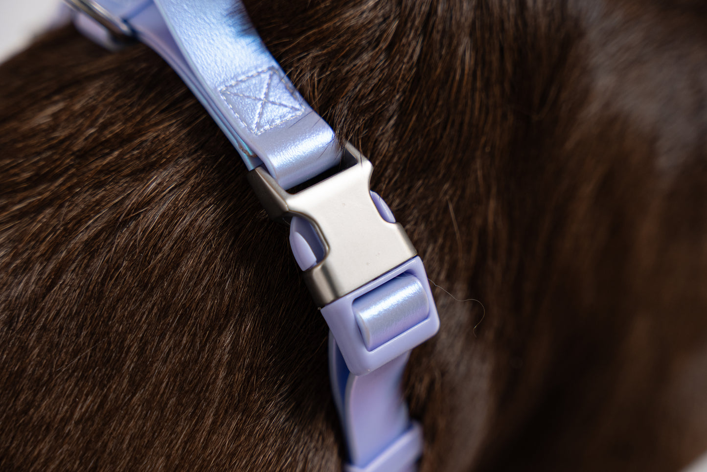 Oceane 2.0 Waterproof Y-Harness in Iridescent Tide (Purple)