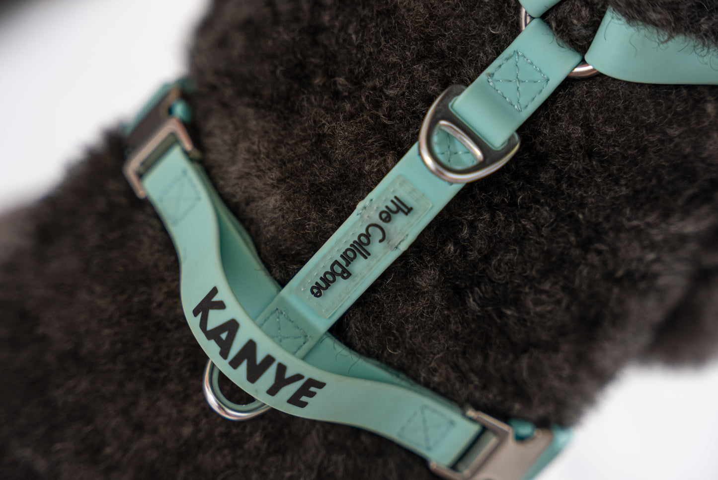 Oceane 2.0 Waterproof Y-Harness in Tiffany's Afterglow (Glow-in-the-Dark Blue)
