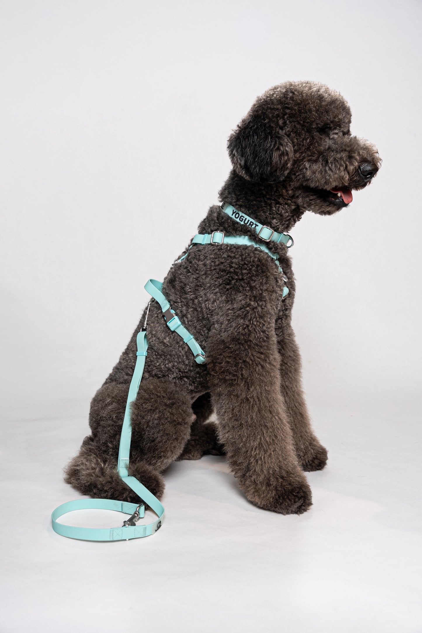 Oceane 2.0 Waterproof Y-Harness in Tiffany's Afterglow (Glow-in-the-Dark Blue)