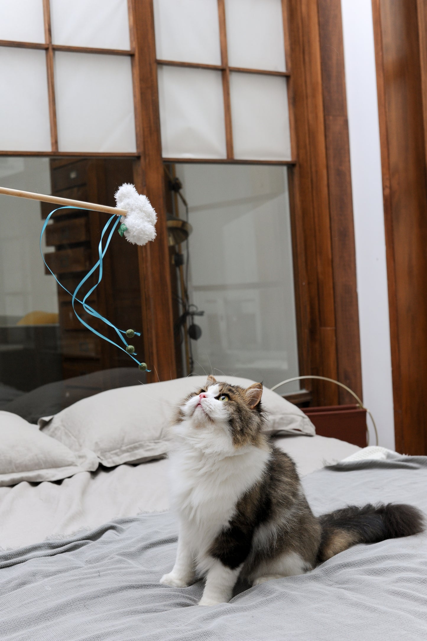 Weather Wonder Catnip Cat Wand