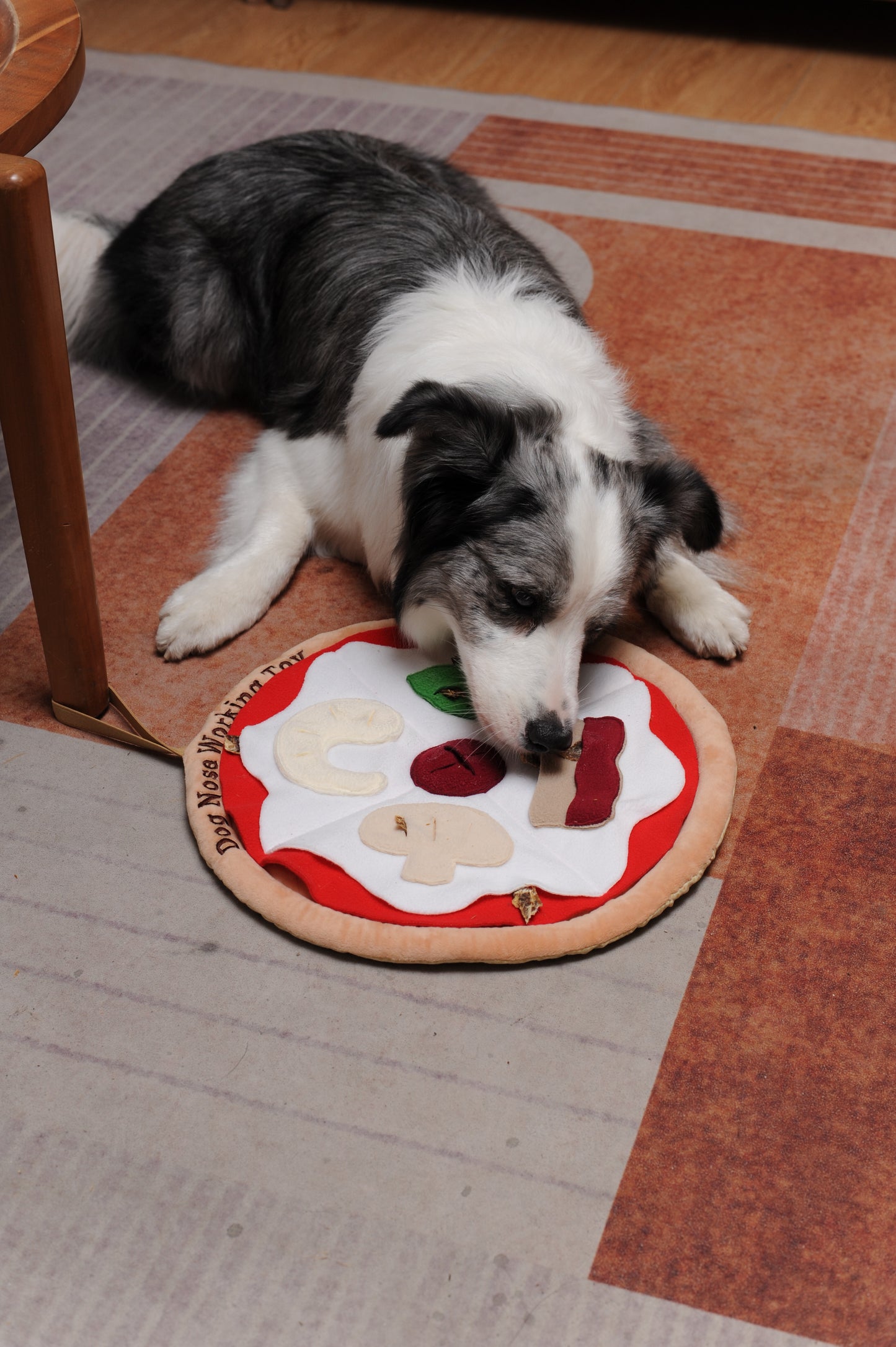 V-Pet Pizza Sniffing Mat