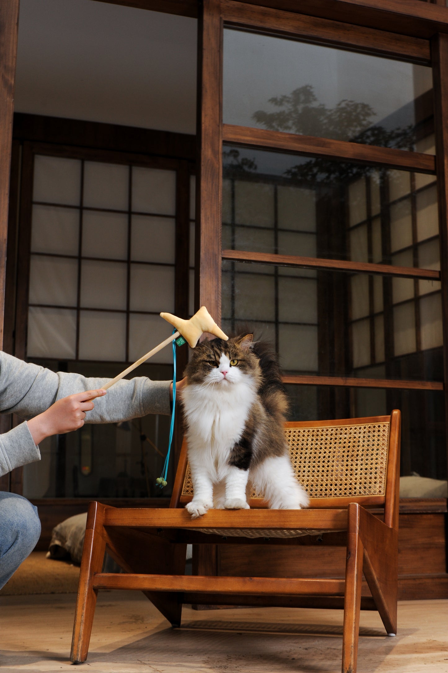 Weather Wonder Catnip Cat Wand