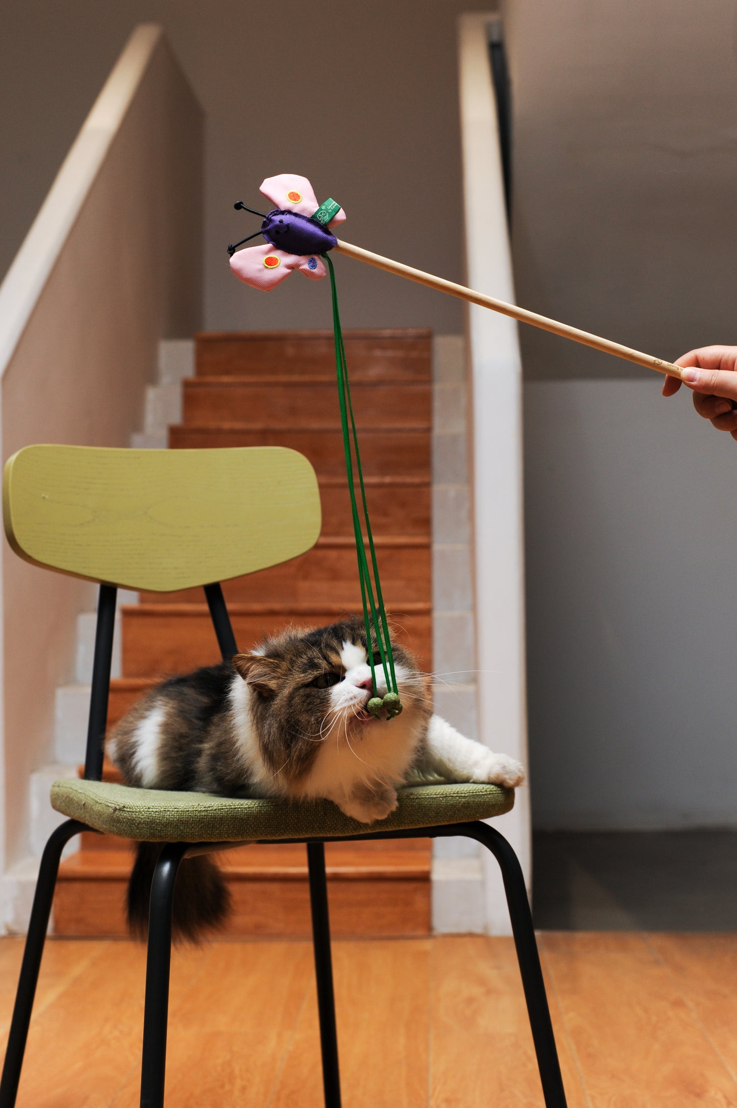 RPET Catnip Cat Wand Toy