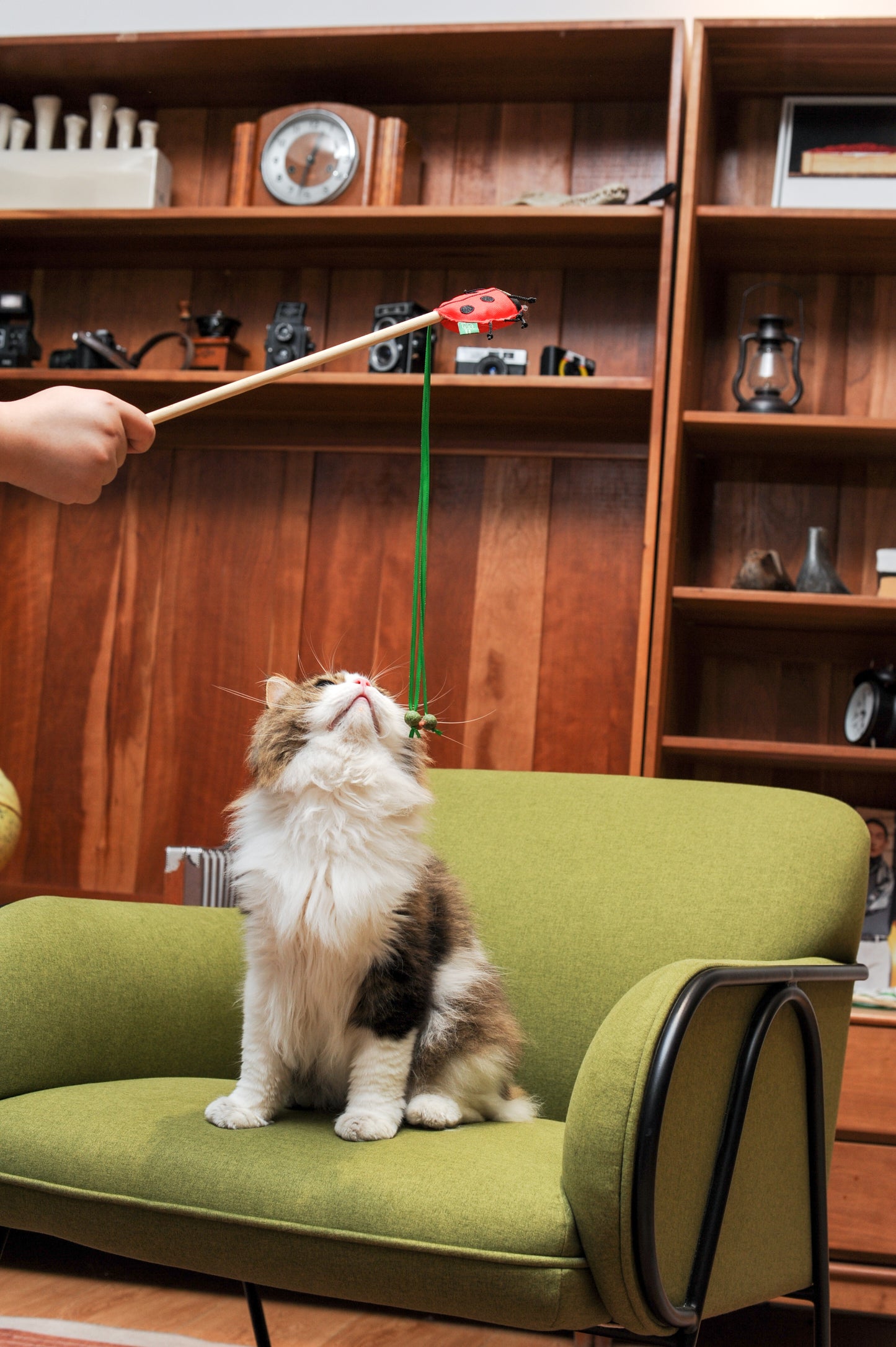 RPET Catnip Cat Wand Toy