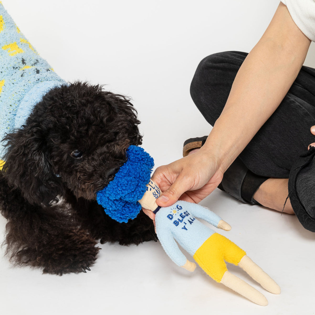 The FurryFolks – Dog Bless Hooman Nosework Toy