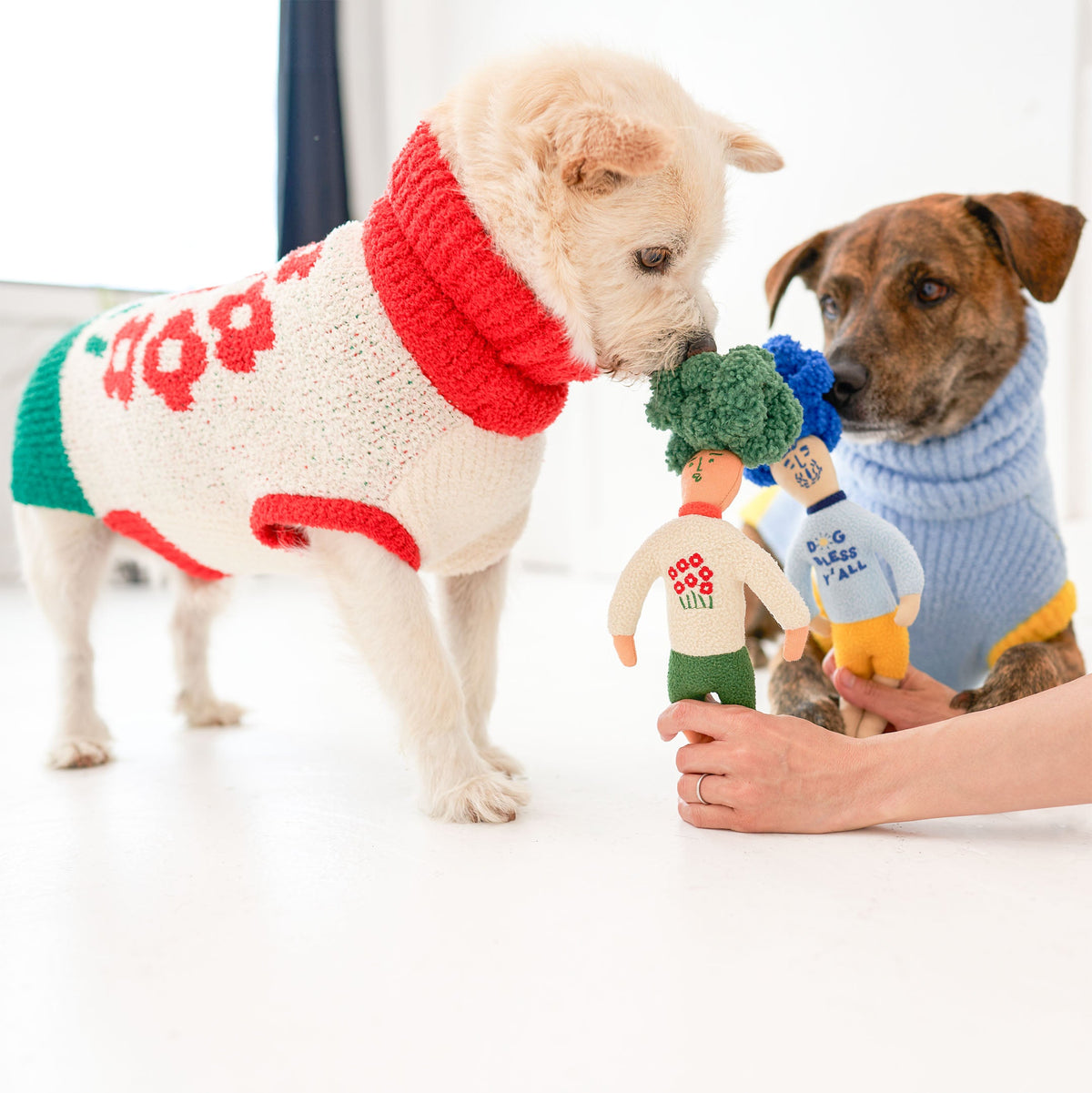 The FurryFolks – Dog Bless Hooman Nosework Toy