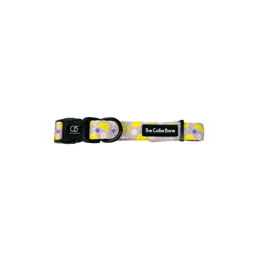 Halston Adjustable Pet Collar in Lavender Lemons