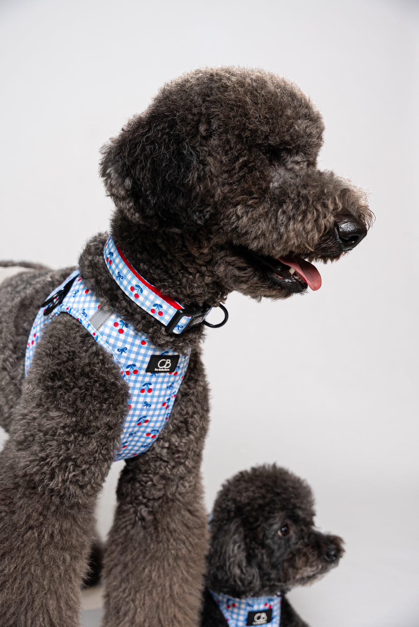Halston Adjustable Pet Collar in Cherry Checks