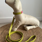Zuri Faux Leather Cat/Dog Collar in Lime Green