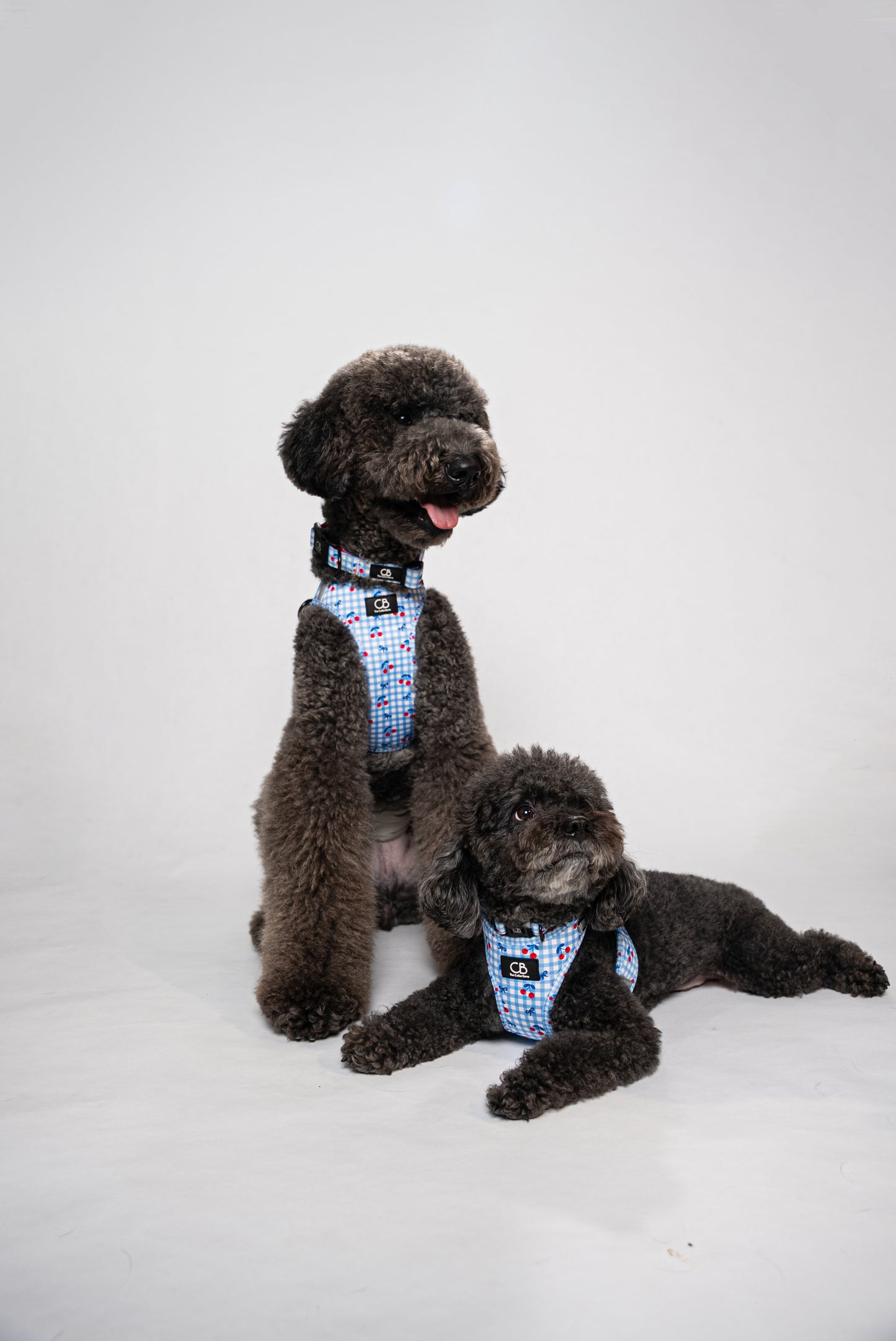 Teeny Step-In Vest/Harness in Cherry Checks