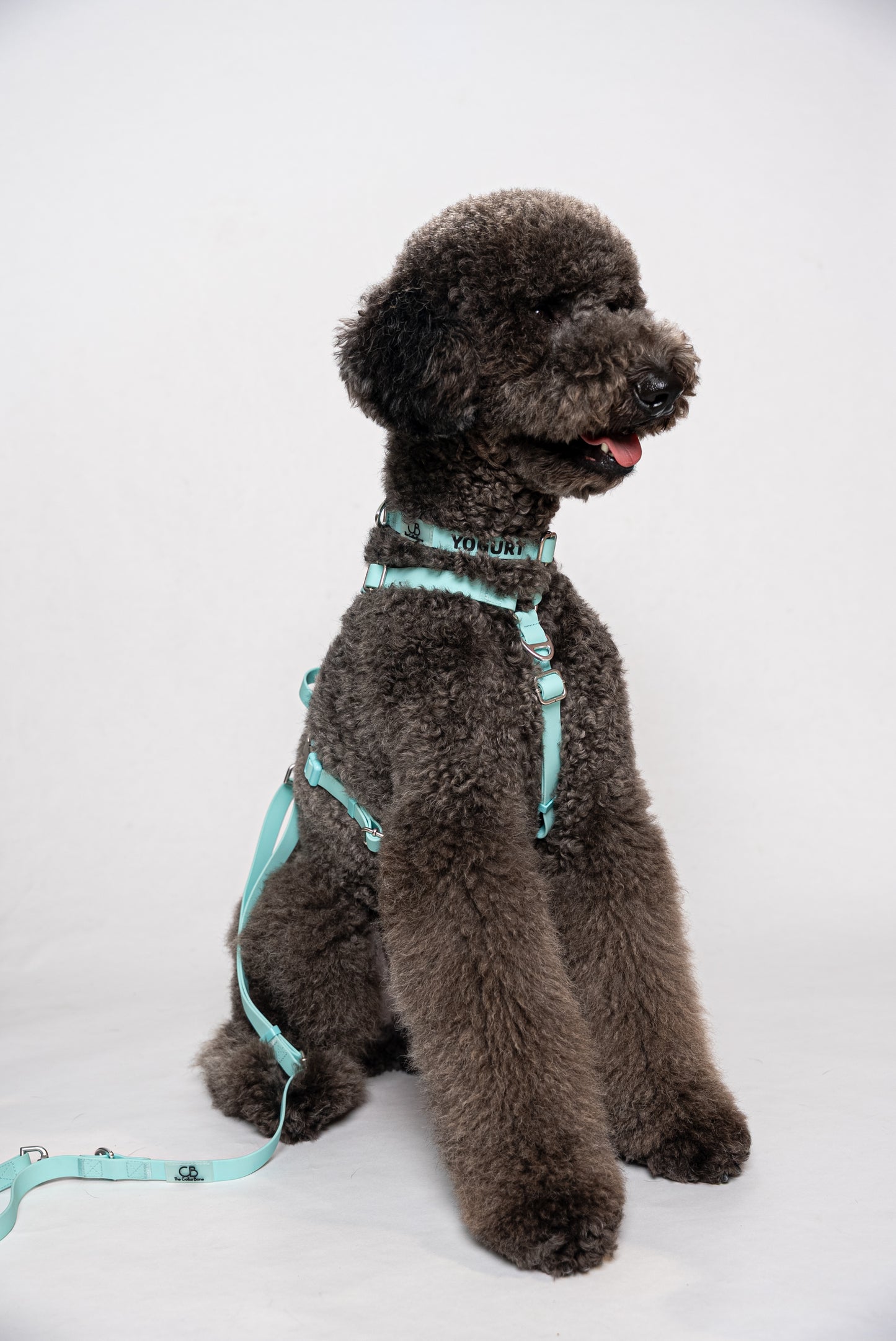 Oceane 2.0 Waterproof Y-Harness in Tiffany's Afterglow (Glow-in-the-Dark Blue)