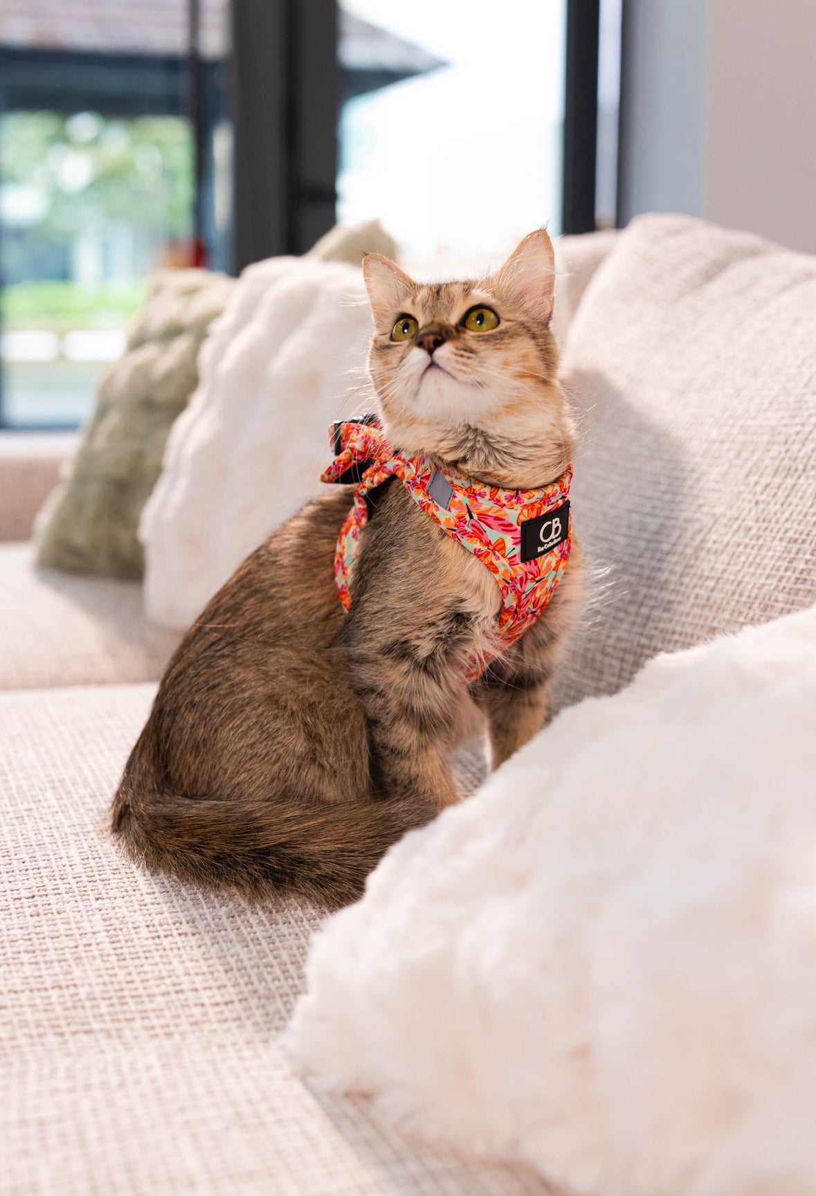 Teeny Step-In Vest/Harness in Metamorphosis