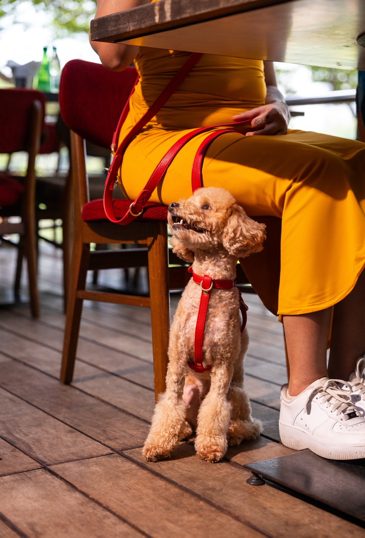Zaara Vegan Leather Harness in Velvet Red