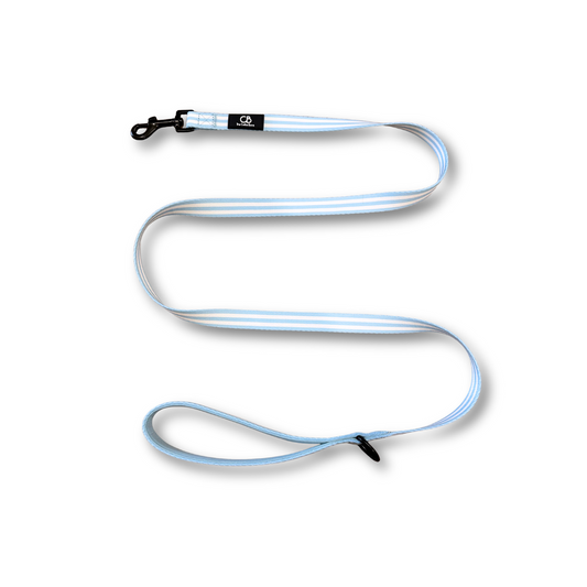 Classic Leash in Coastal Blue (Stripes)