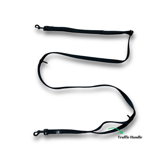 Brighton Multiway Handsfree Leash in Solid Black