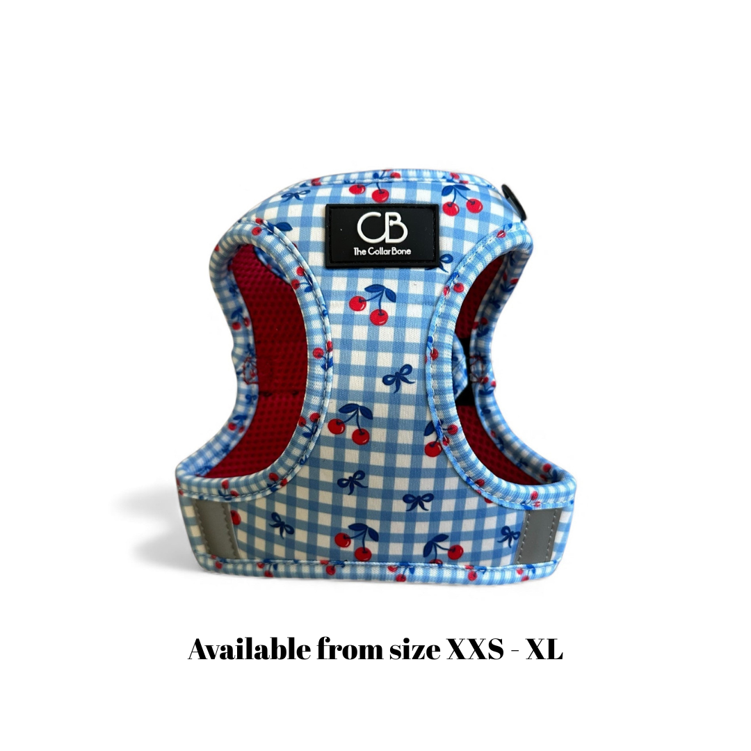 Teeny Step-In Vest/Harness in Cherry Checks