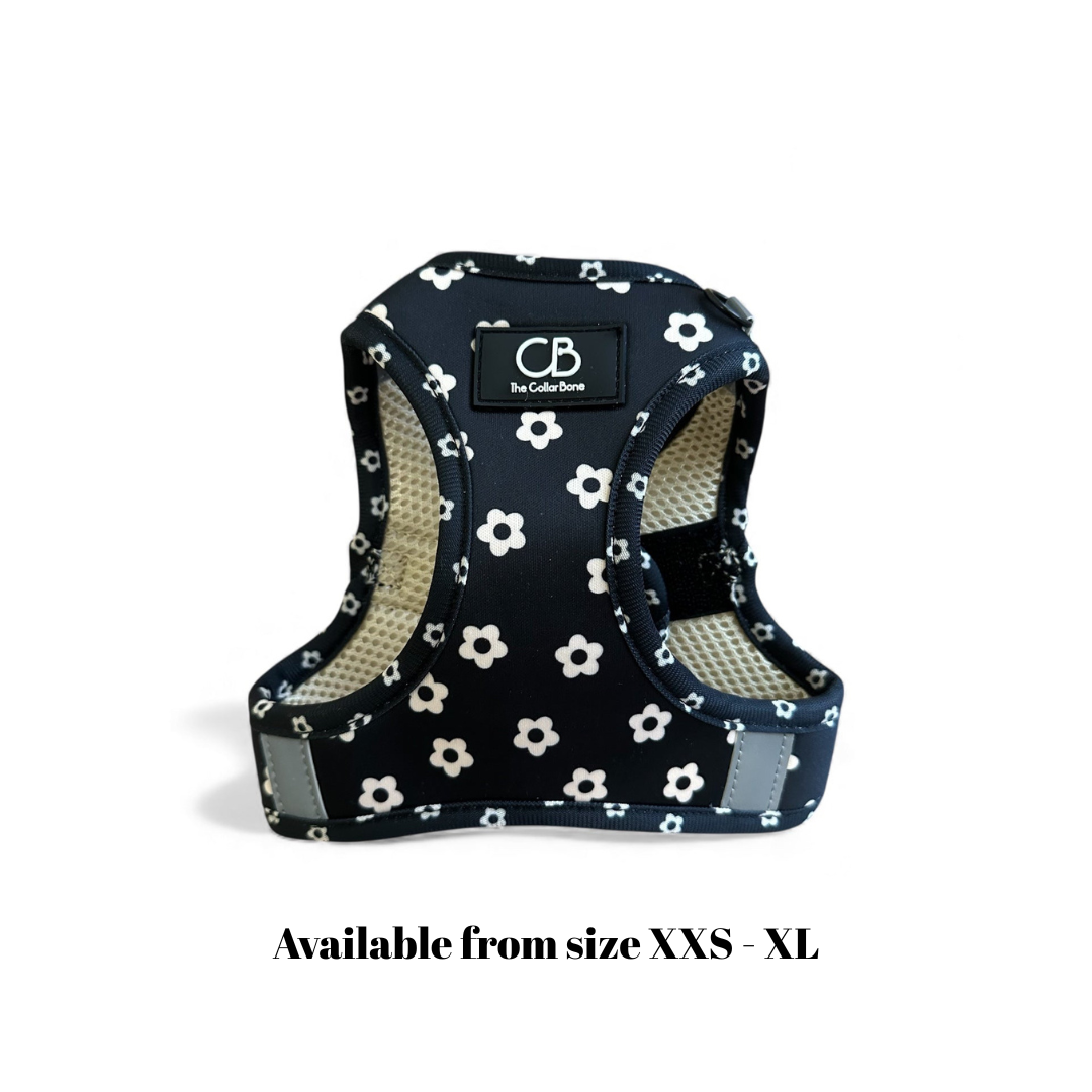 Teeny Step-In Vest/Harness in Black Bloom