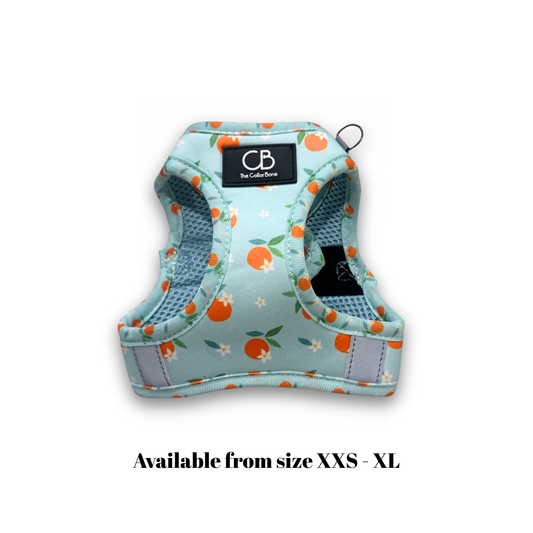 Teeny Step-In Vest/Harness in Clementine Crush