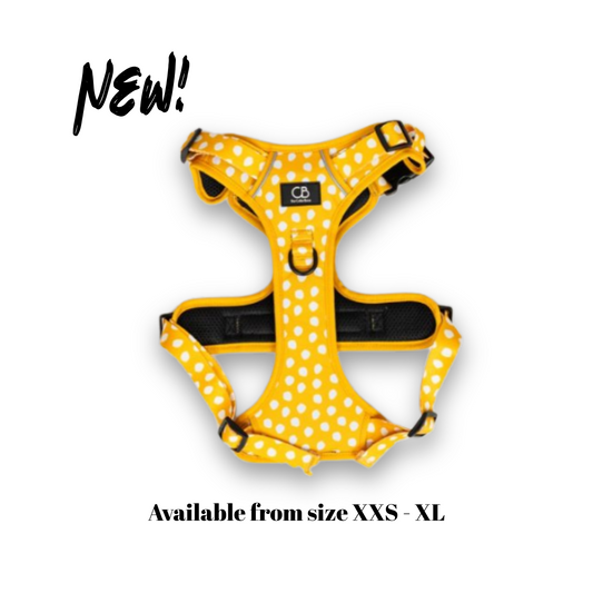 Oxford Active No-Pull Harness in Mustard & Mayo
