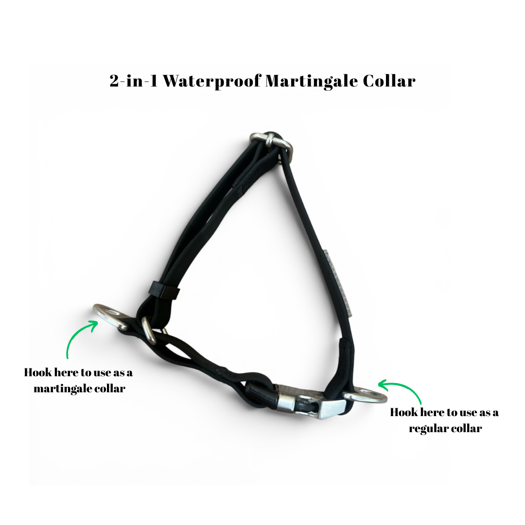 Oceane 2.0 2-in-1 Waterproof Martingale Collar in Obsidian Black