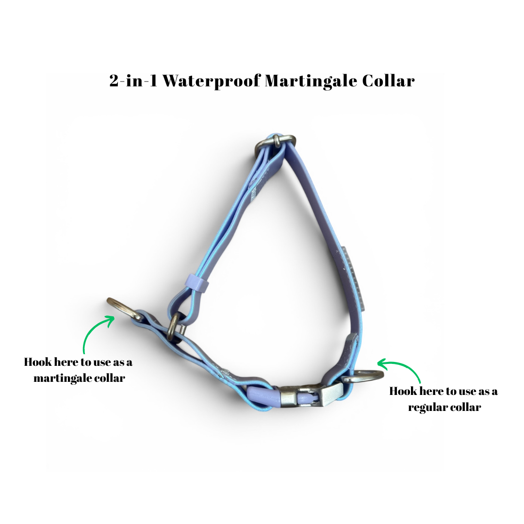 Oceane 2.0 2-in-1 Waterproof Martingale Collar in Iridescent Tide (Purple)