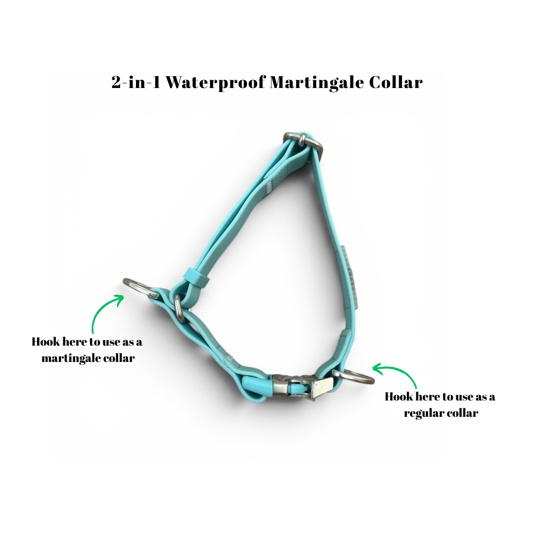 Oceane 2.0 2-in-1 Waterproof Martingale Collar in Tiffany's Afterglow (Glow-in-the-Dark Blue)