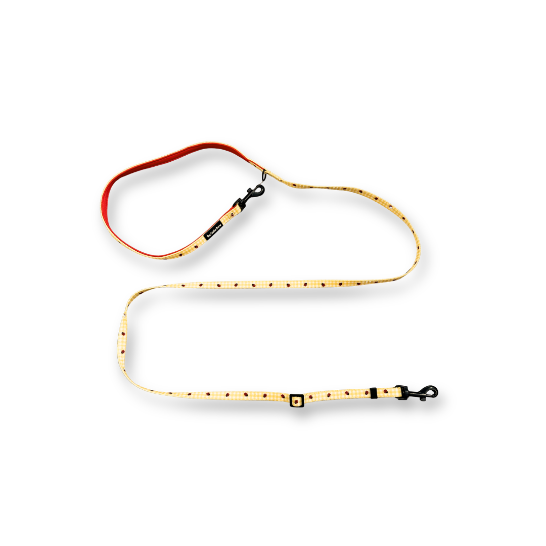 Teeny back-to-basic Leash in Ladybug Lemon