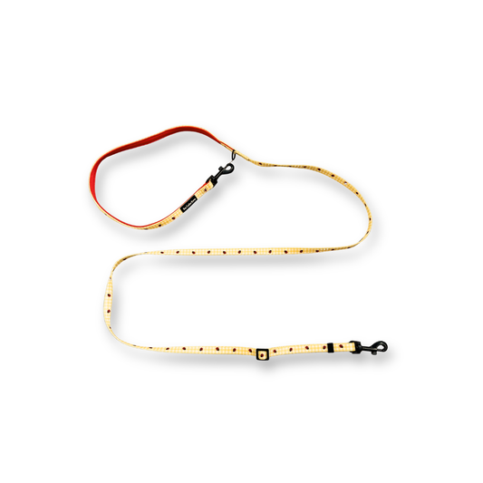 Teeny back-to-basic Leash in Ladybug Lemon