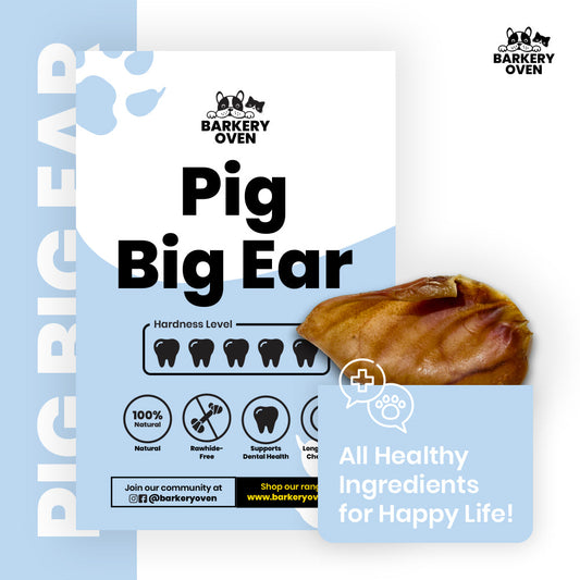 Barkery Oven Pig Big Ear - Big (4pcs)