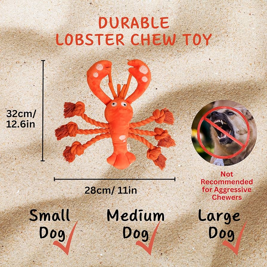 Pawfoo Lab Lobster Squeaky Dog Toy