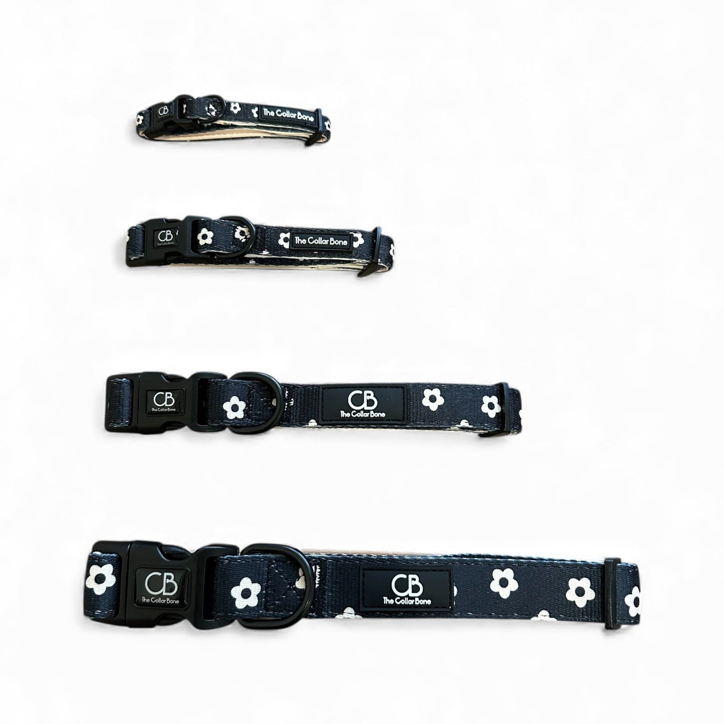 Halston Adjustable Pet Collar in Black Bloom