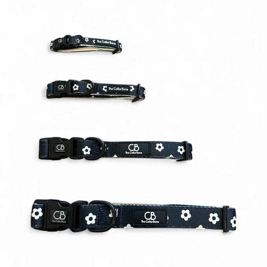 Halston Adjustable Pet Collar in Black Bloom