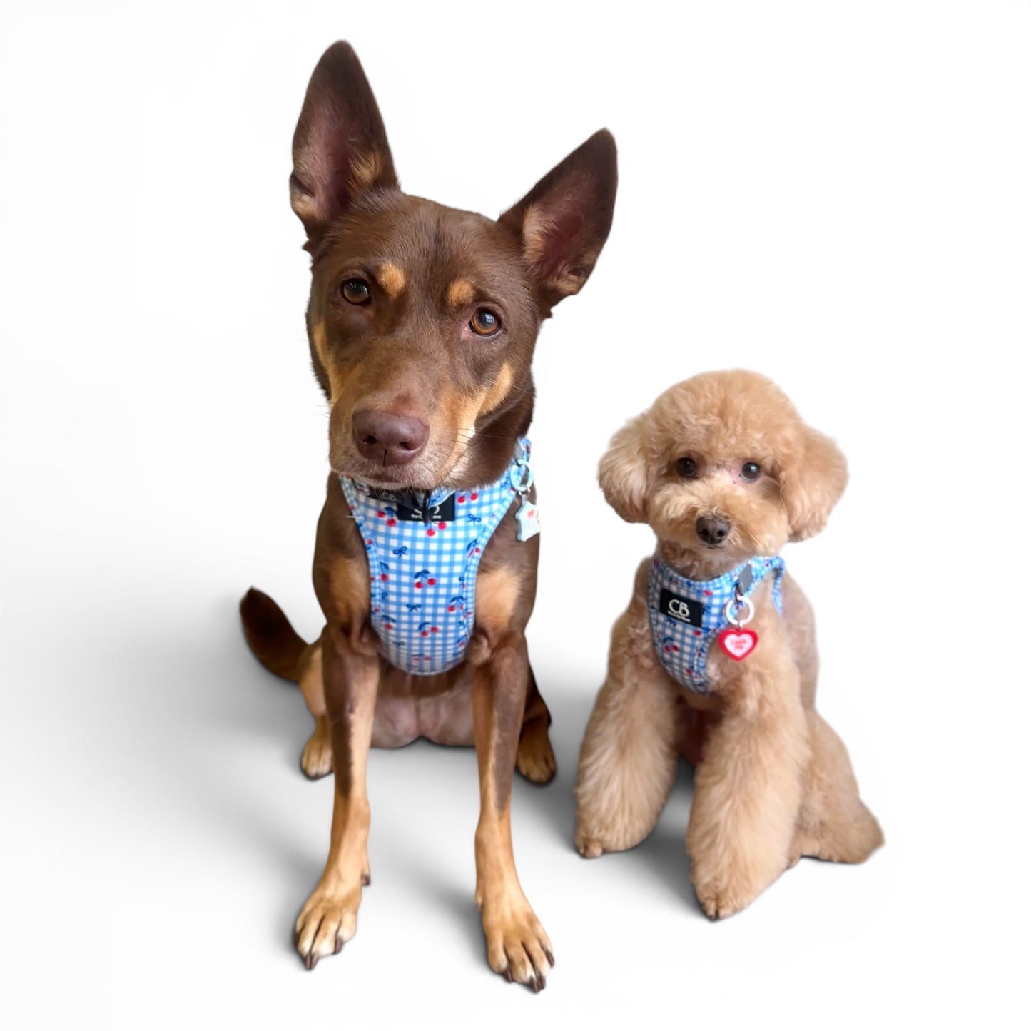 Teeny Step-In Vest/Harness in Cherry Checks