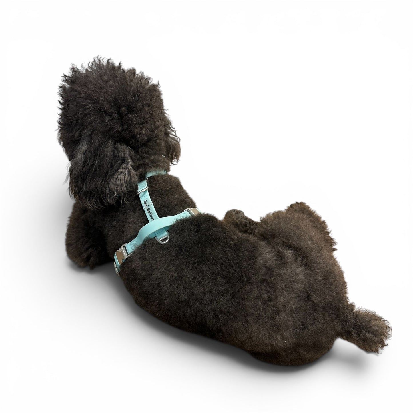 Oceane 2.0 Waterproof Y-Harness in Tiffany's Afterglow (Glow-in-the-dark Blue)
