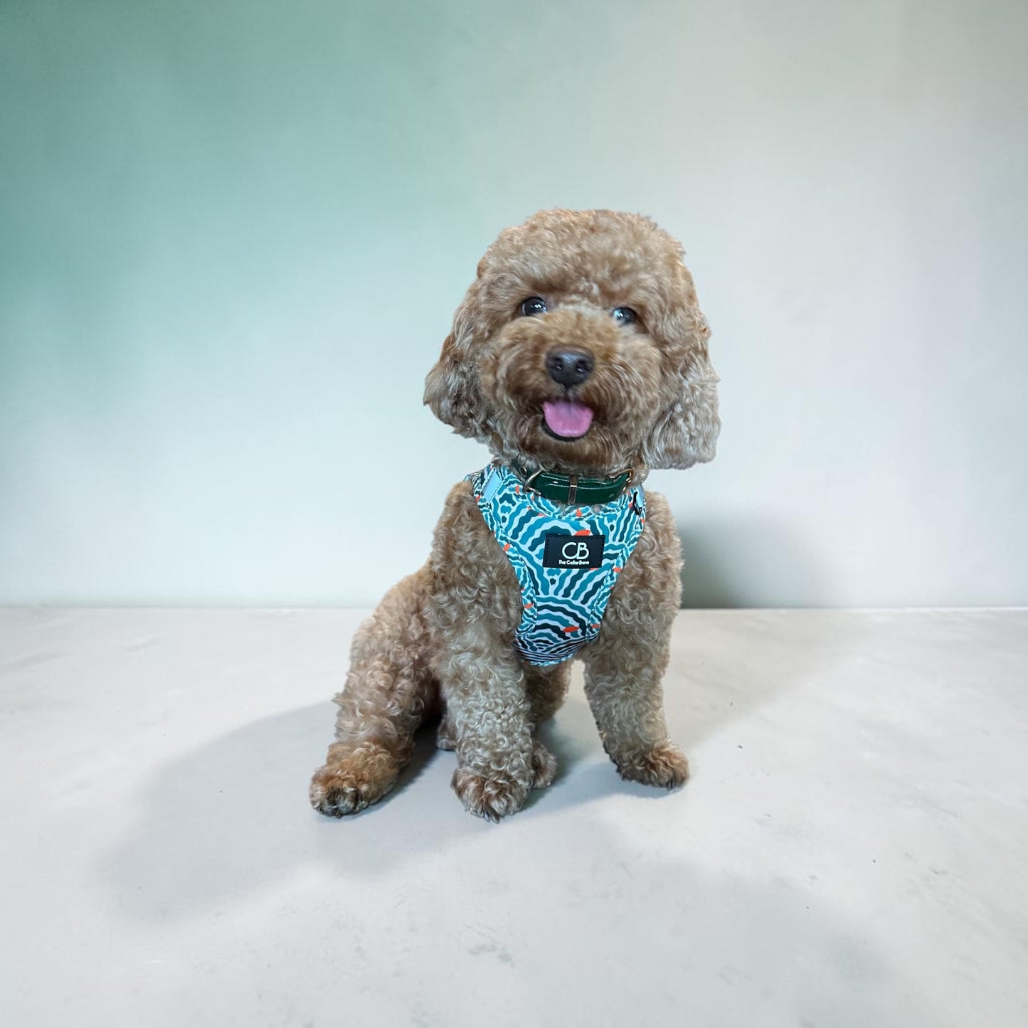 Teeny Step-In Vest/Harness in Goldfish Glade