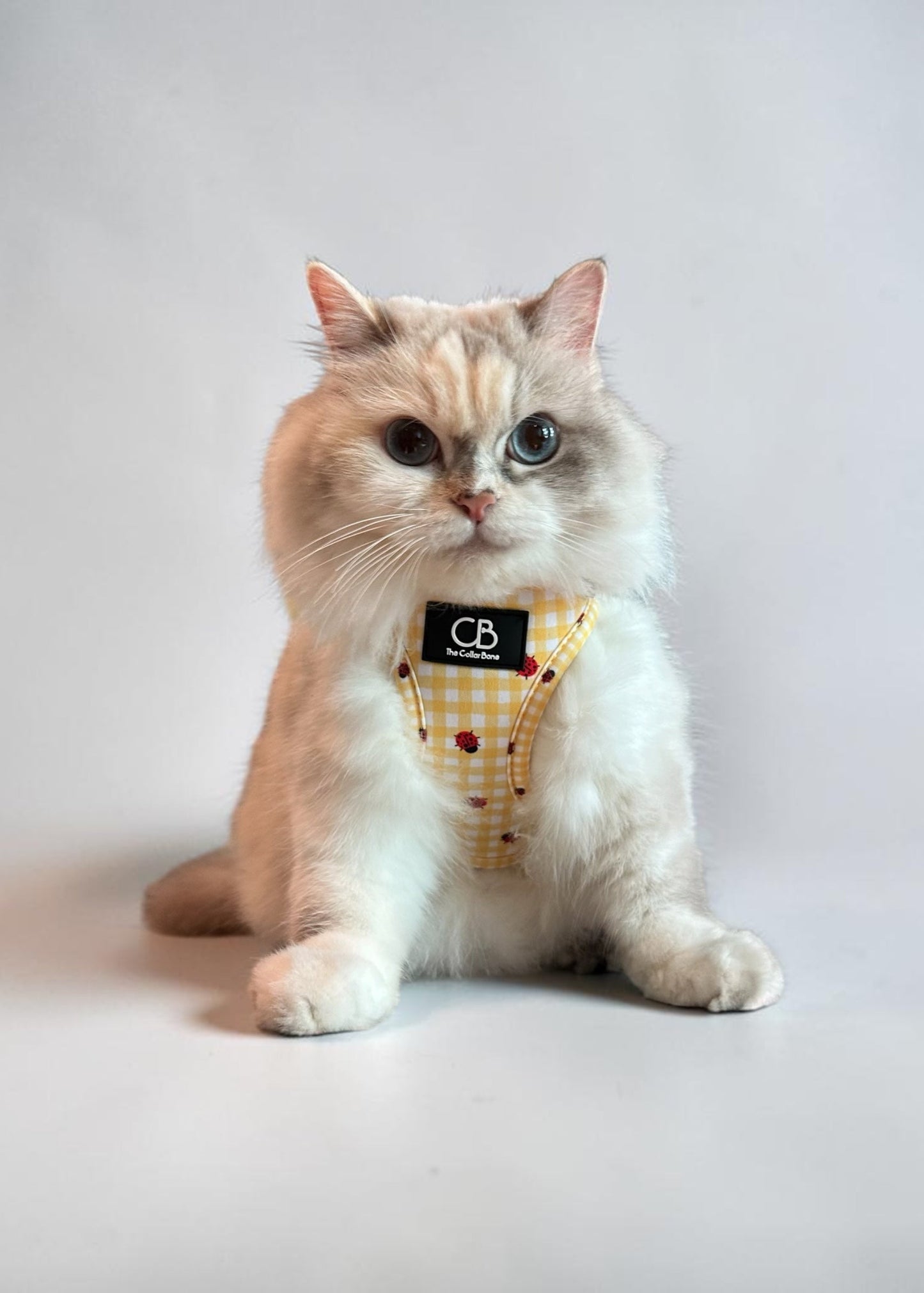 Teeny Step-In Vest/Harness in LadyBug Lemon