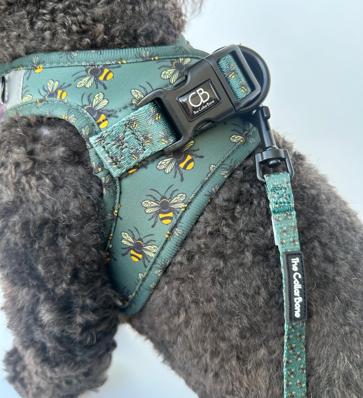 Teeny back-to-basic Leash in Forest Bee